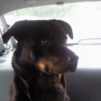 Photo #219444 de Payton