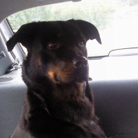 Photo #219445 de Payton