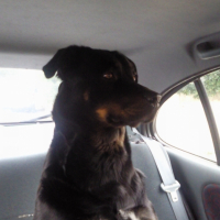Photo #219446 de Payton