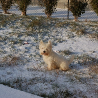 Photo #219512 de Bounty
