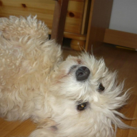 Photo #219541 de Aline