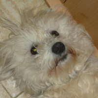 Photo #219542 de Aline