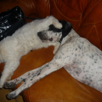 Photo #219561 de Eros