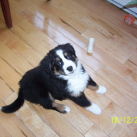 Photo #219656 de Jasmine