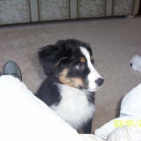 Photo #219661 de Jasmine