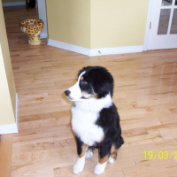 Photo #219664 de Jasmine