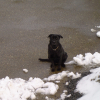 Rudy prenant la pose dans la neige en 2006