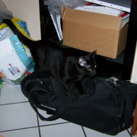 Photo #219754 de Darwin