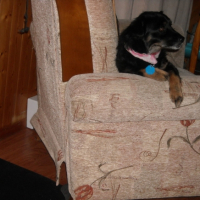 Photo #219764 de Louky