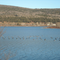 Photo #219765 de Louky