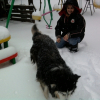 dans la neige !