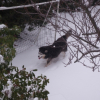 Vive la neige !!