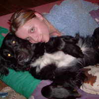 Photo #219854 de Shepa