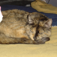 Photo #219871 de Lili