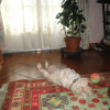 DSC00302