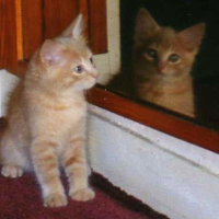 Photo #219976 de Woody