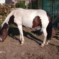 Photo #220012 de Romance d'hellemmes