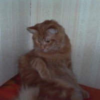 Photo #220045 de Bobby