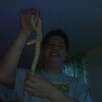Photo #220107 de Charda