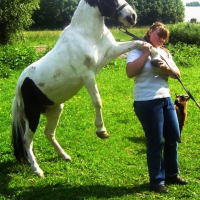 Photo #220120 de Charlotte