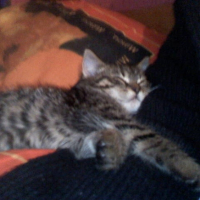 Photo #220156 de Gribouille