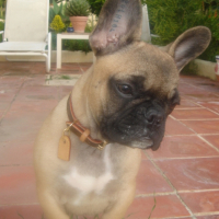 dans le jardin de notre villa à Ibiza