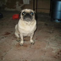 Photo #220223 de Monstro