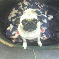Photo #220224 de Monstro