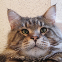 Photo #220277 de Clyde