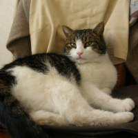 Photo #220286 de Yumba 