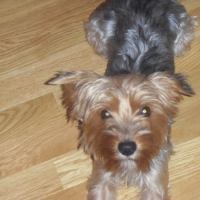 Photo #220296 de Junior