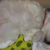 Mon Cheri Quand il dort :)