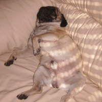 Photo #220325 de Oscar