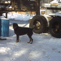 Photo #220405 de Bendi 