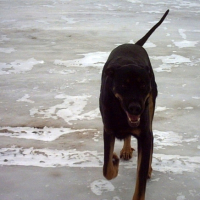 Photo #220406 de Bendi 