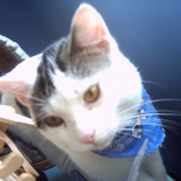 Photo #220409 de Loulou