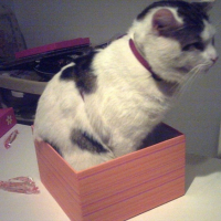 Photo #220411 de Loulou