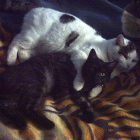 Photo #220412 de Loulou