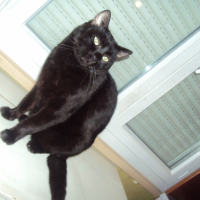 Photo #220433 de Mickael
