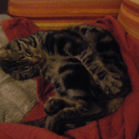 Mon diesel qui fait un gros dodo 