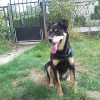 Photo #220580 de Elga