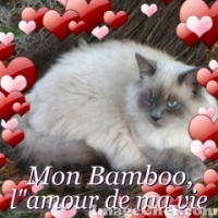 Photo #220673 de Kiki d'amour