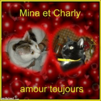 Photo #220725 de Charly