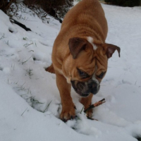 Photo #220749 de Enzo