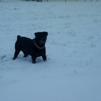 Photo #220768 de Oxmo
