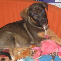 Photo #220776 de Easy