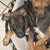 Photo #220777 de Easy