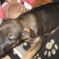 Photo #220778 de Easy