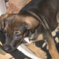 Photo #220779 de Easy