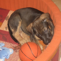 Photo #220780 de Easy
